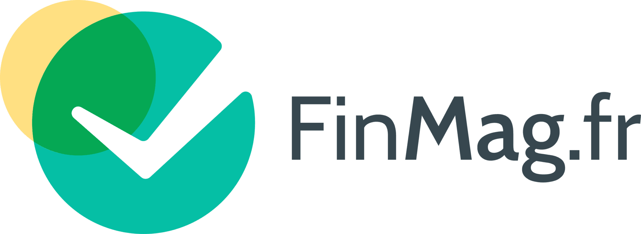 Finmag